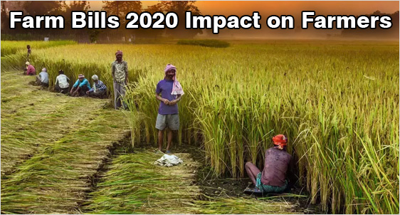 Farm Bills 2020: Will it Break the Glass Ceiling?